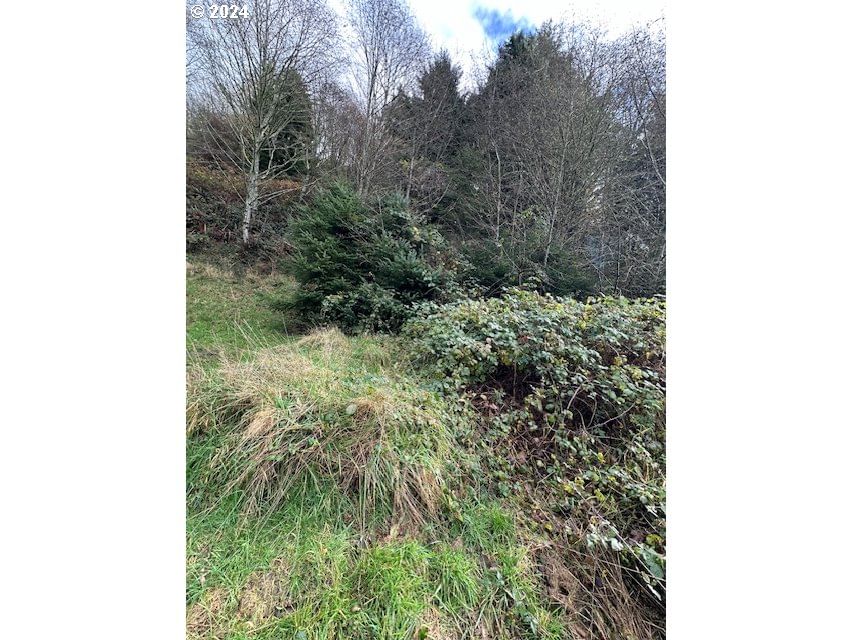 Primary listing photo, Grant ST, Rockaway Beach, OR, 97136