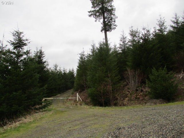 Primary listing photo, 000 Rocky Top RD, Sweet Home, OR, 97386
