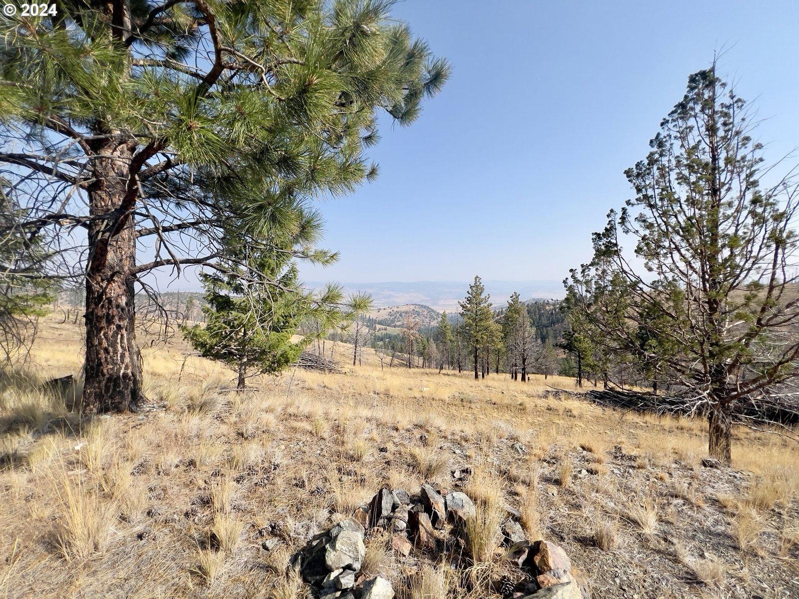 Listing photo 1 of 1