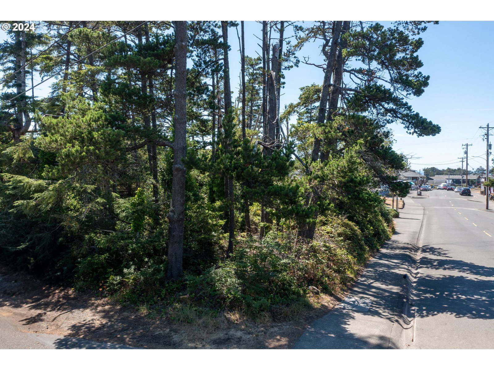 Primary listing photo, Laneda at 4th Place, Manzanita, OR, 97130