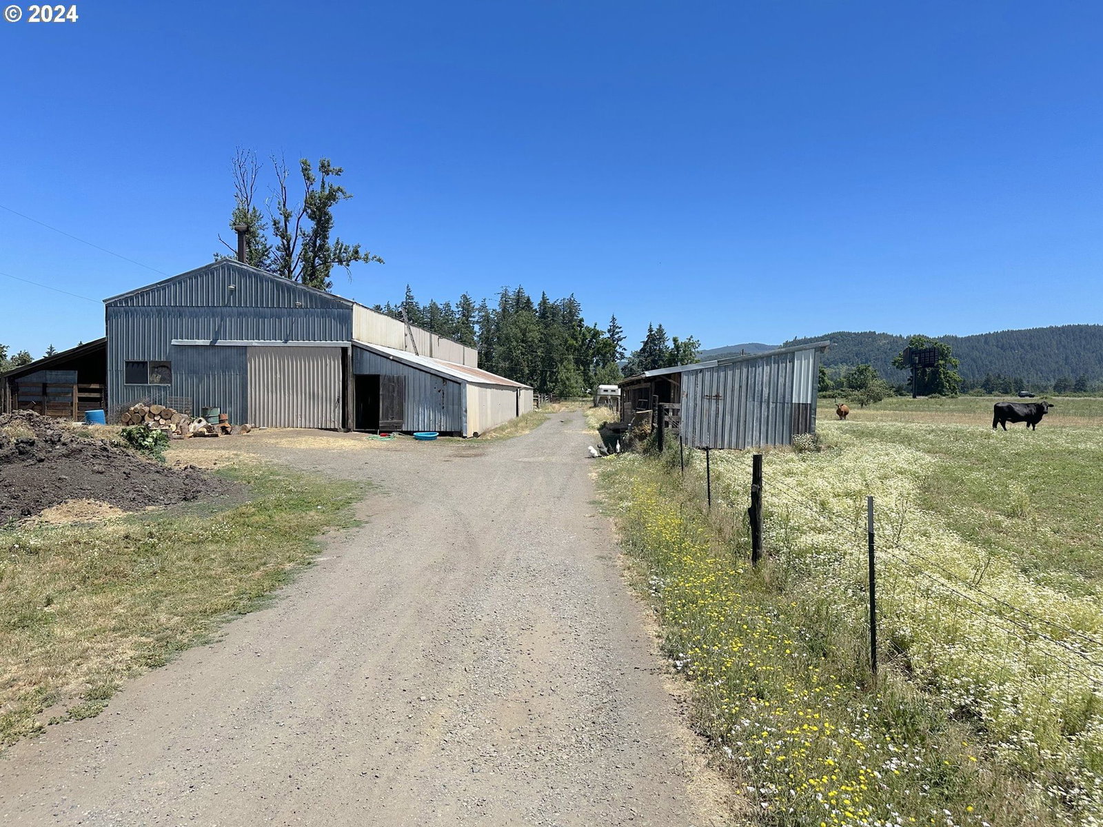 Listing photo 1 of 1