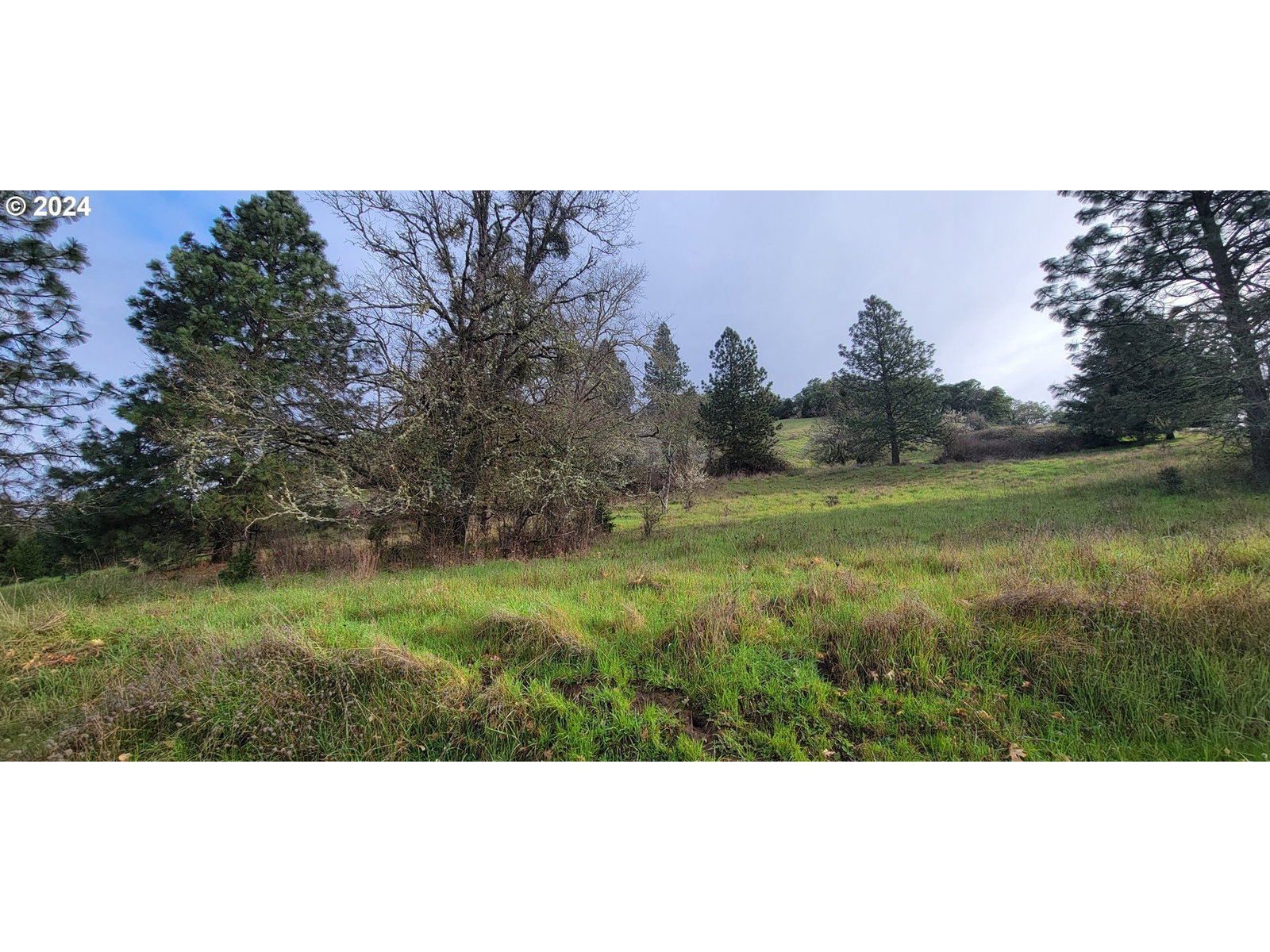 Primary listing photo, SE ARDIS AVE #6, Myrtle Creek, OR, 97457