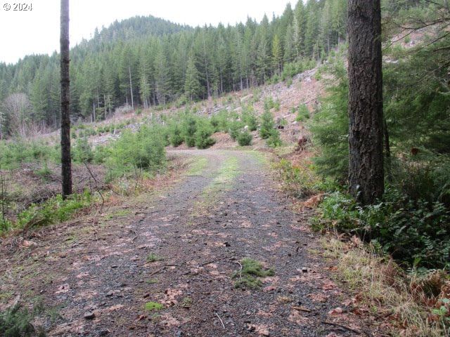 Primary listing photo, 000 Quartzville RD, Sweet Home, OR, 97386