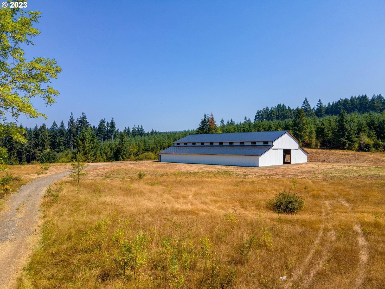 Primary listing photo, 17401 NE 217TH AVE, Brush Prairie, WA, 98606
