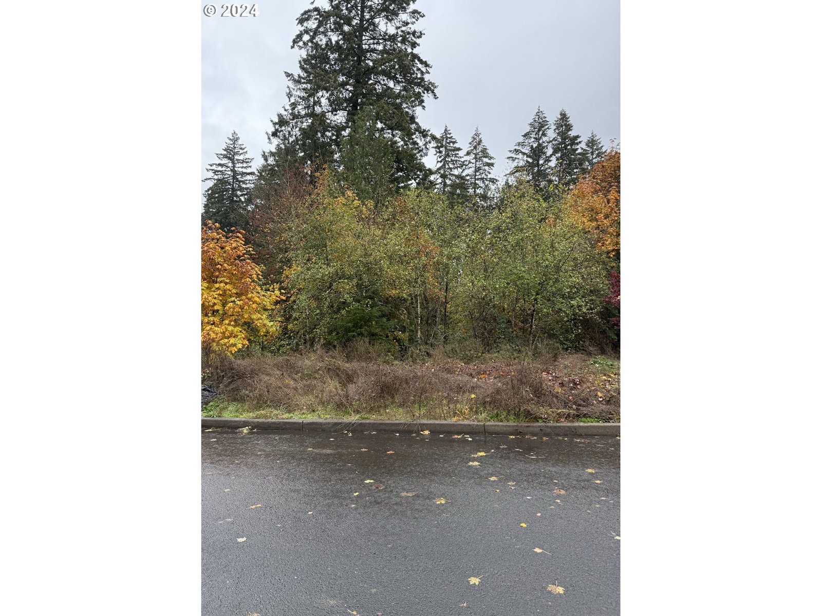 Primary listing photo, 17368 AUBIN ST, Sandy, OR, 97055