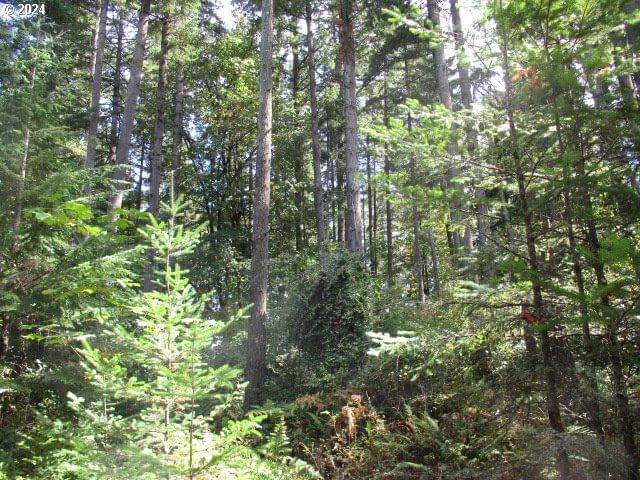 Primary listing photo, 000 Bellinger Scale (3) RD, Lebanon, OR, 97355