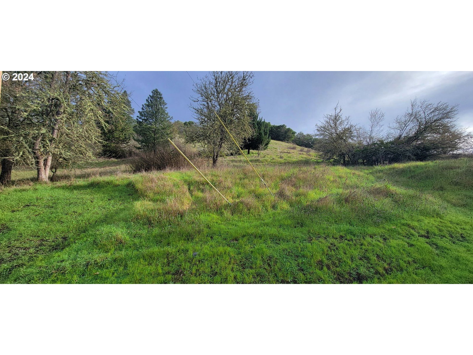 Primary listing photo, SE ARDIS AVE #9, Myrtle Creek, OR, 97457