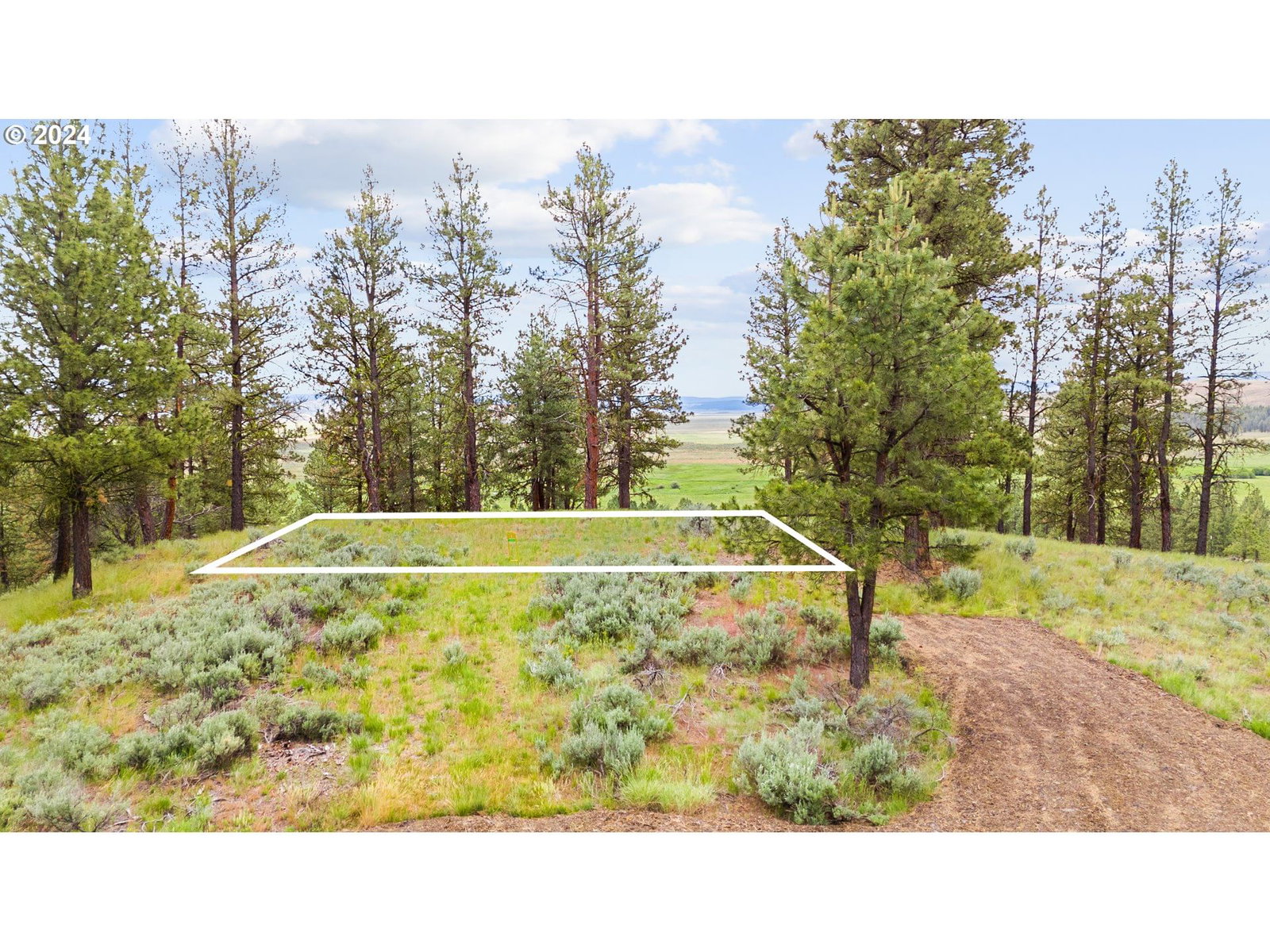 Primary listing photo, 20184 Riata Lane #S-1, Seneca, OR, 97873