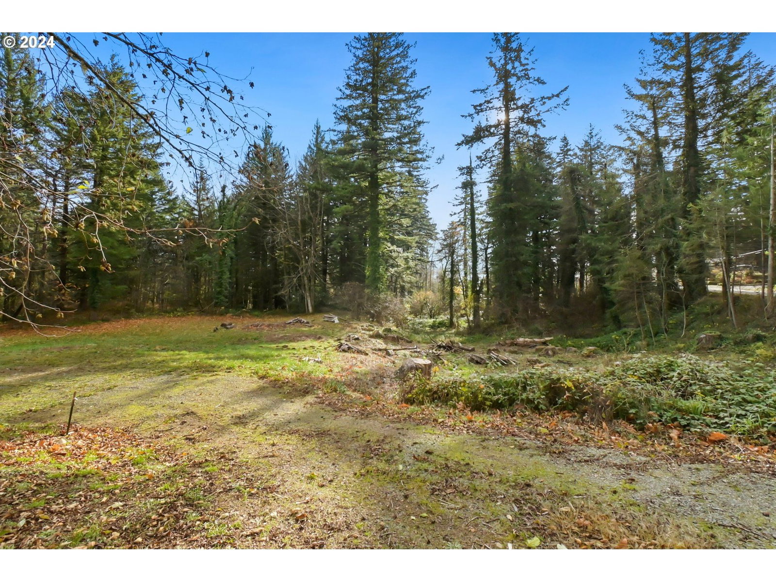 Primary listing photo, 000 NW School (Lot 2, Land) RD #2, Stevenson, WA, 98648