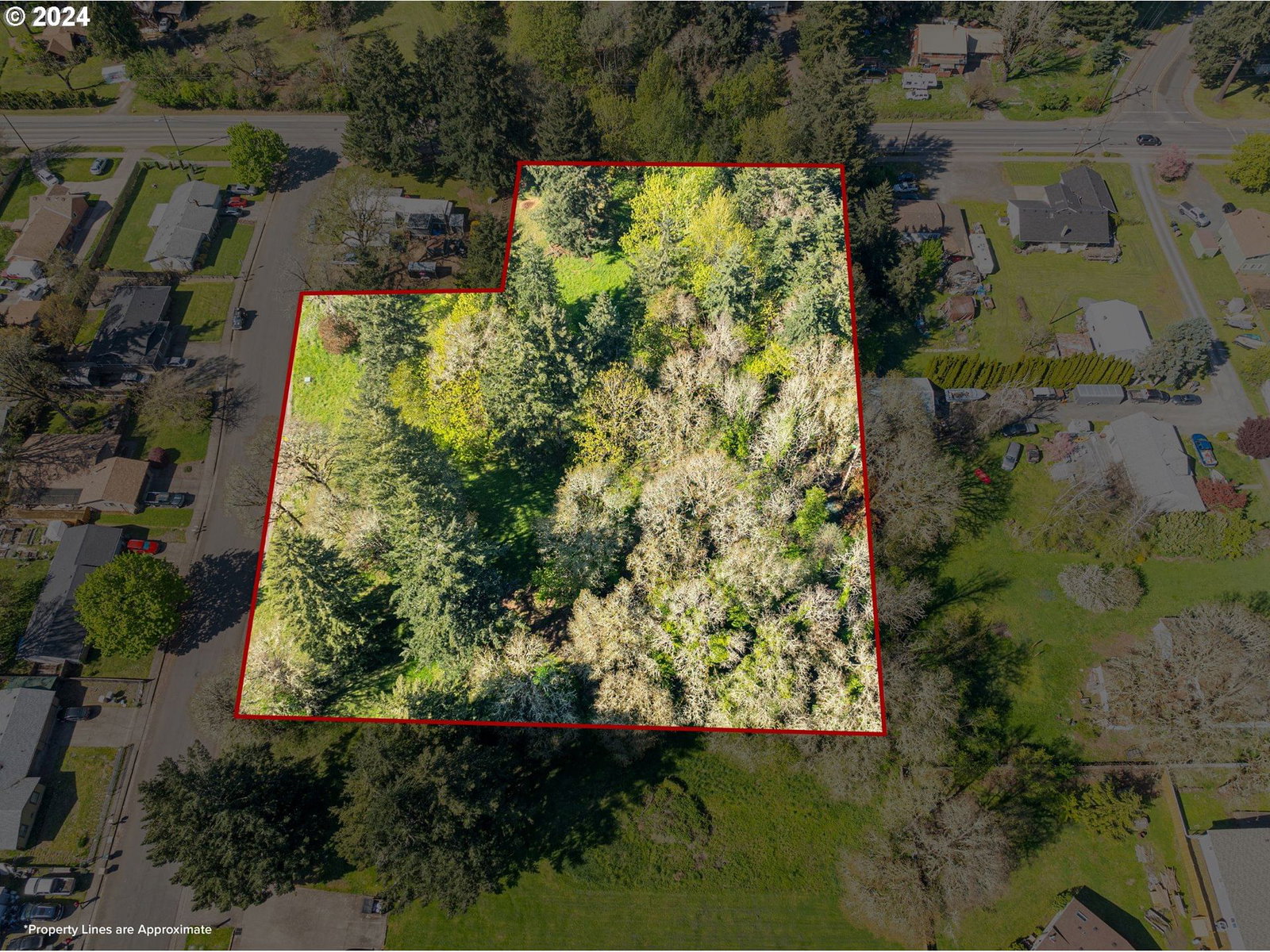 Primary listing photo, 29th Av #Lot4900, Sweet Home, OR, 97386