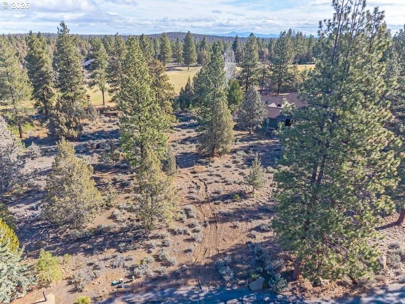 Primary listing photo, 69130 DAMSEL FLY CT, Sisters, OR, 97759