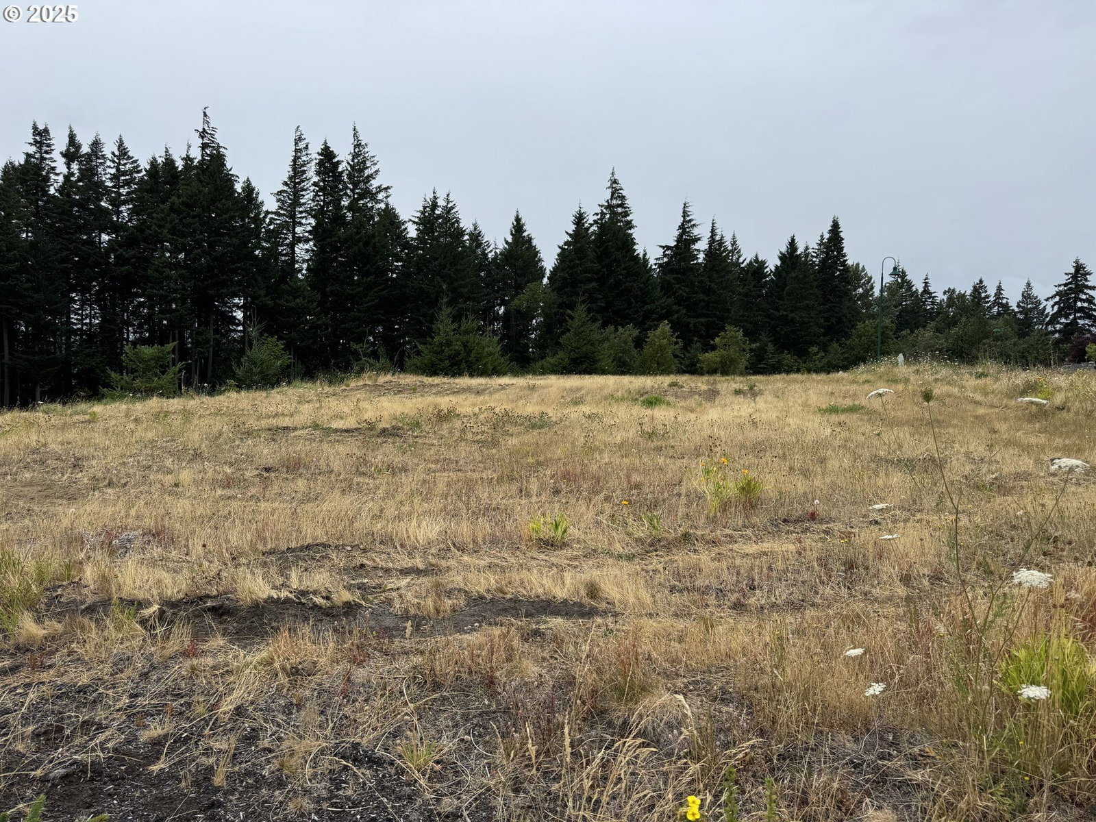 Primary listing photo, 951 SW SPELLING PL #14, Cascade Locks, OR, 97014