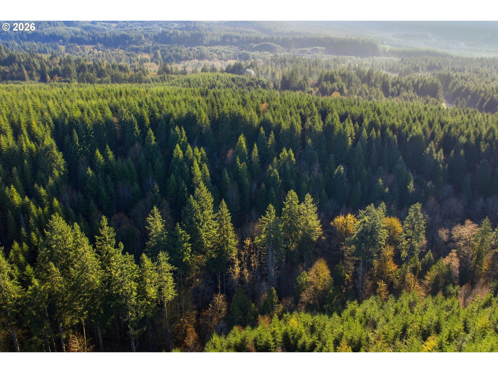 Primary listing photo, Nowakowski RD, Banks, OR, 97106