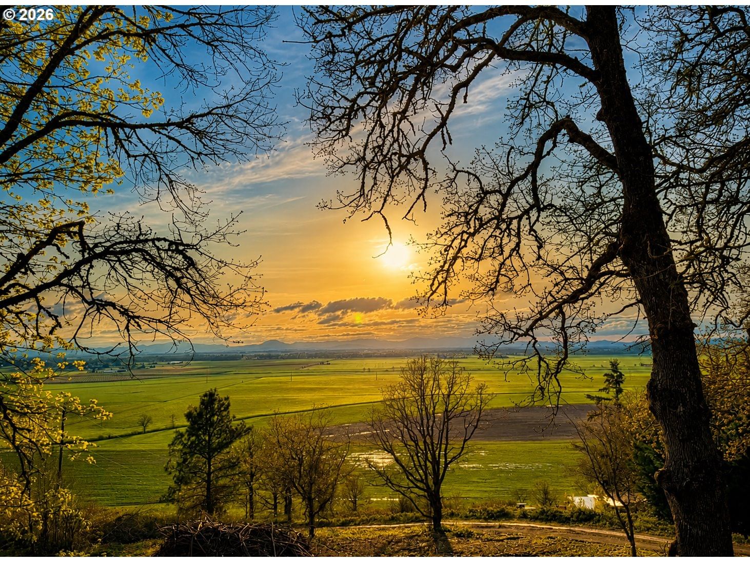 Primary listing photo, 29015 BROWNSVILLE RD, Brownsville, OR, 97327