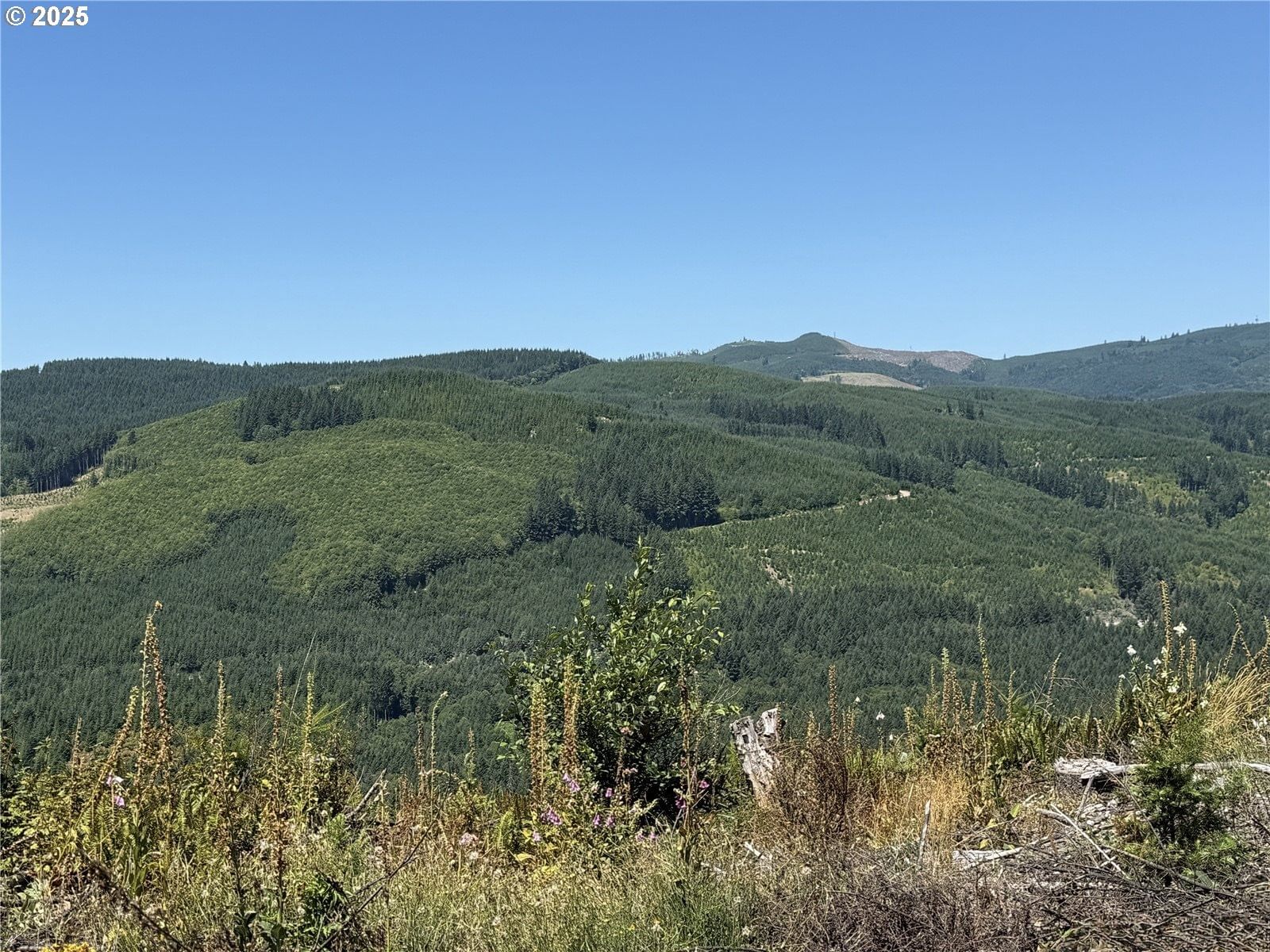 Primary listing photo, 3725 Little Kalama River RD, Woodland, WA, 98674