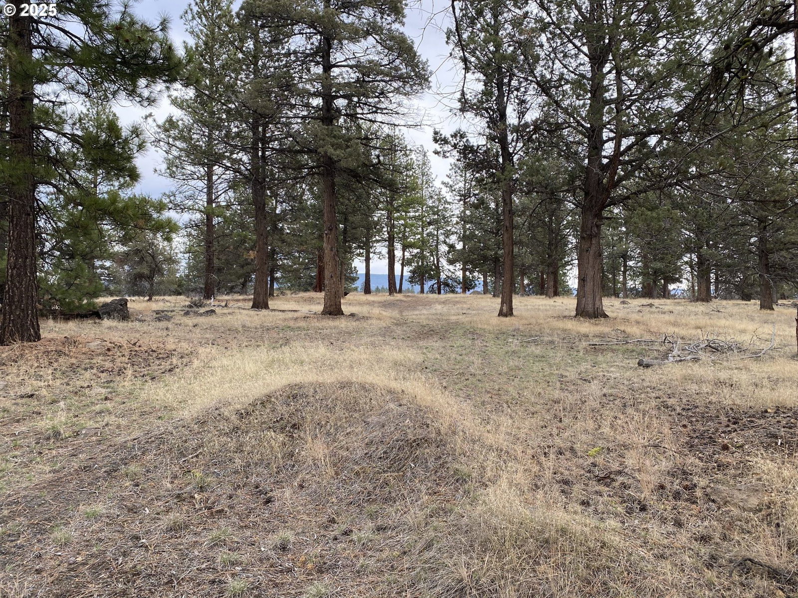 Primary listing photo, 0 Widgeon DR, Bonanza, OR, 97623