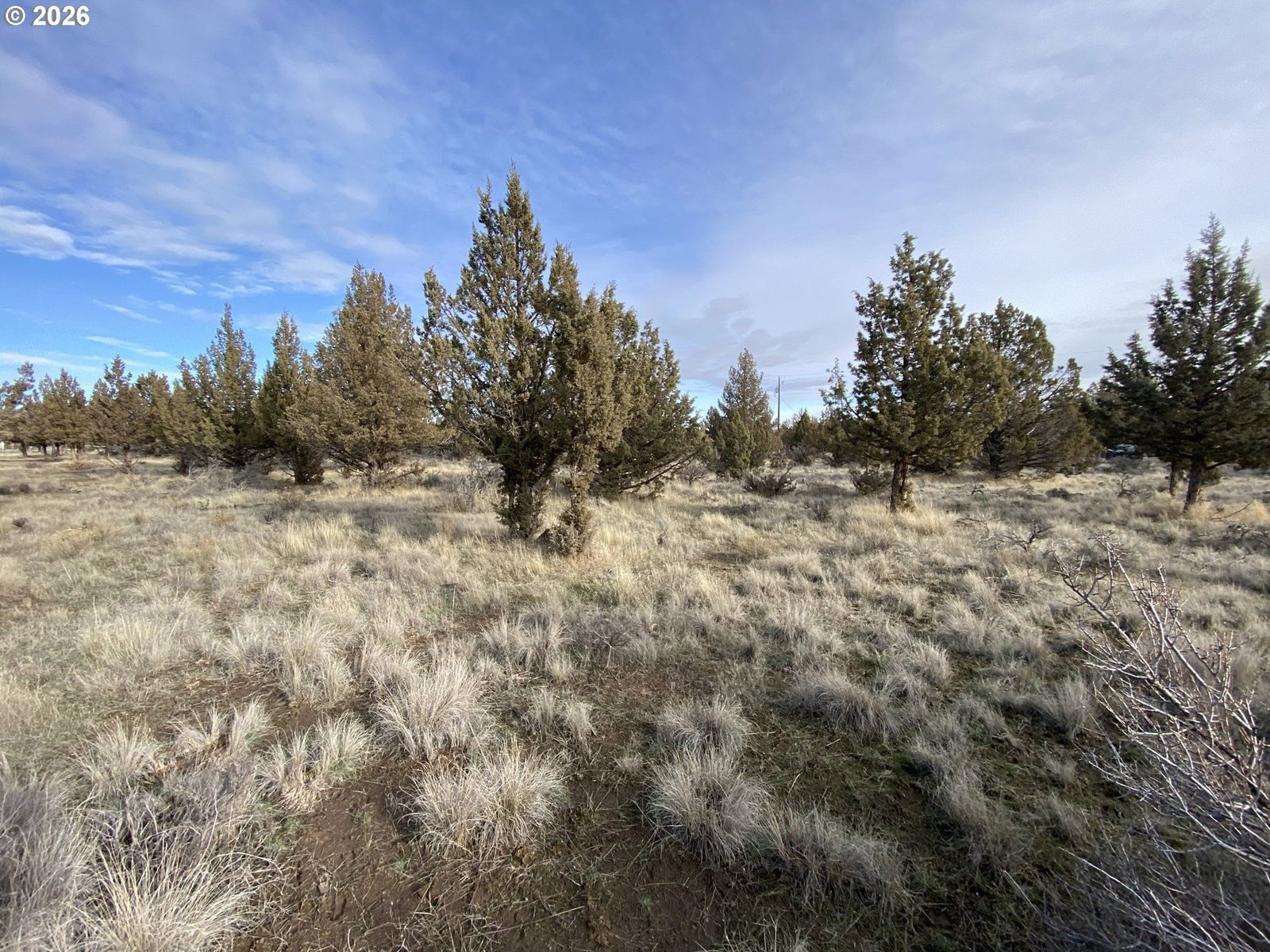 Primary listing photo, SW Drake DR, Culver, OR, 97734
