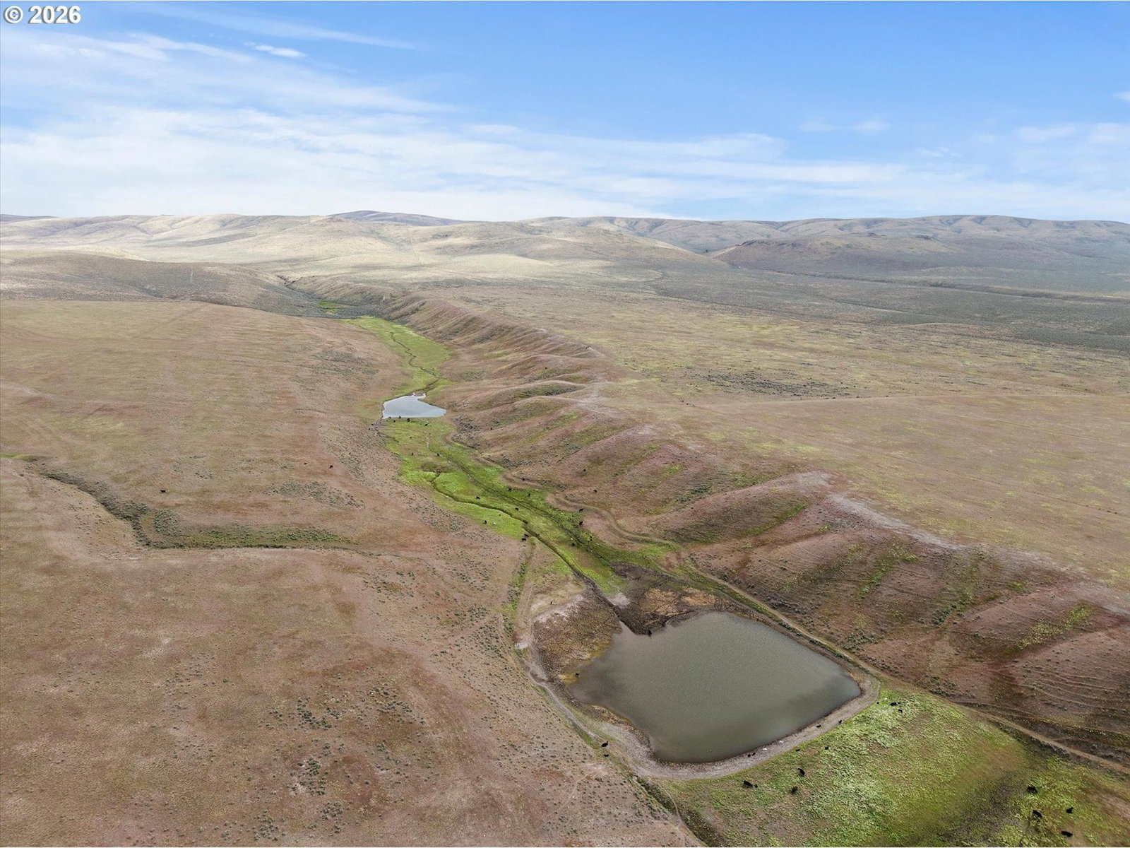 Primary listing photo, Second Creek, Baker City, OR, 97814