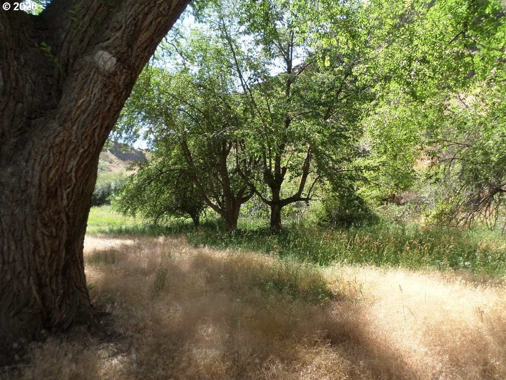 Primary listing photo, 74170 Imnaha Highway HWY, Joseph, OR, 97846