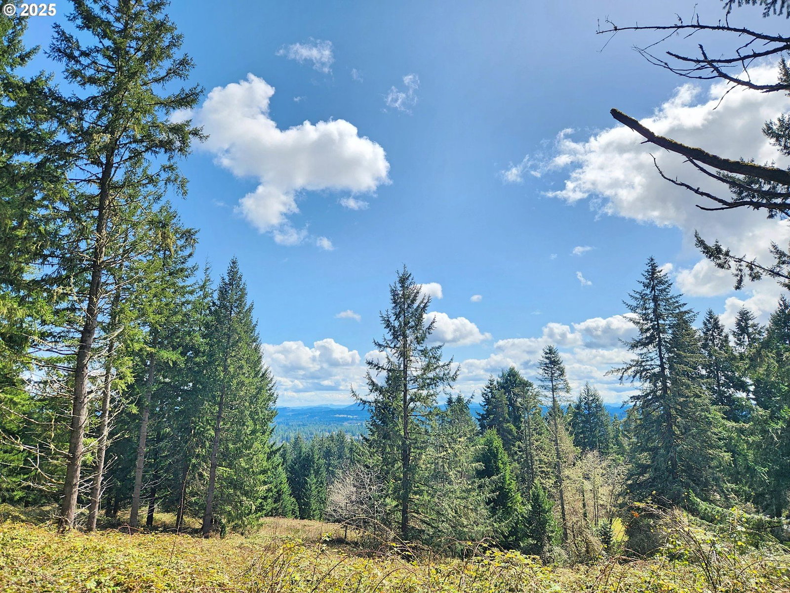Primary listing photo, BOLTON HILL RD N, Veneta, OR, 97487