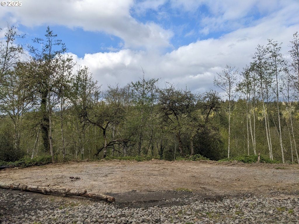 Primary listing photo, 0 SE WASHOUGAL RIVER RD, Washougal, WA, 98671