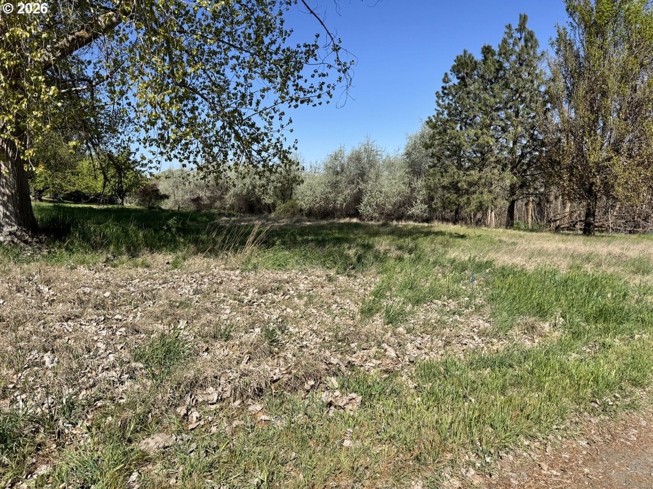 Primary listing photo, 456 VOGEL ST, Umatilla, OR, 97882