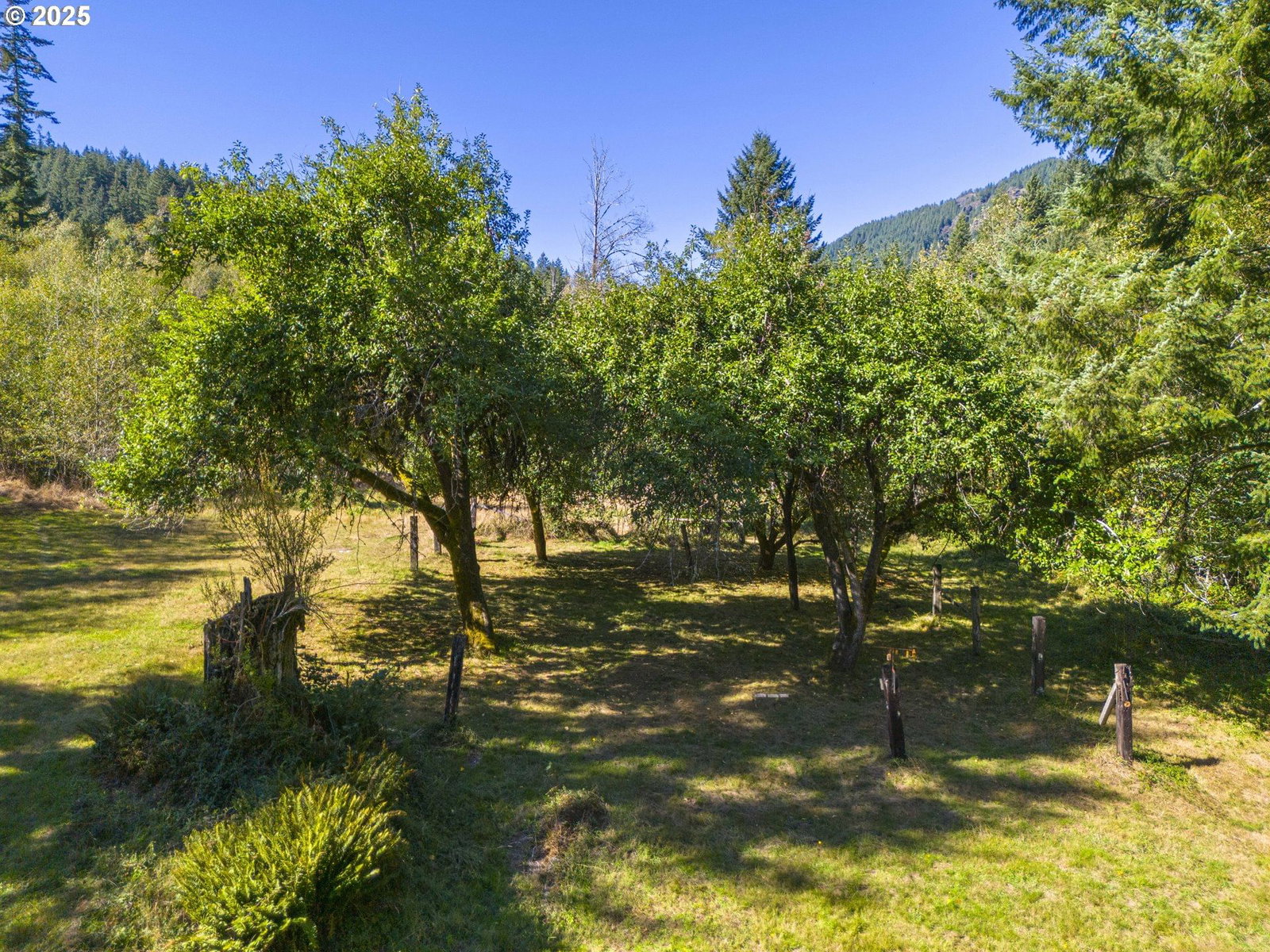 Primary listing photo, Tin Shack Road, Nehalem, OR, 97131