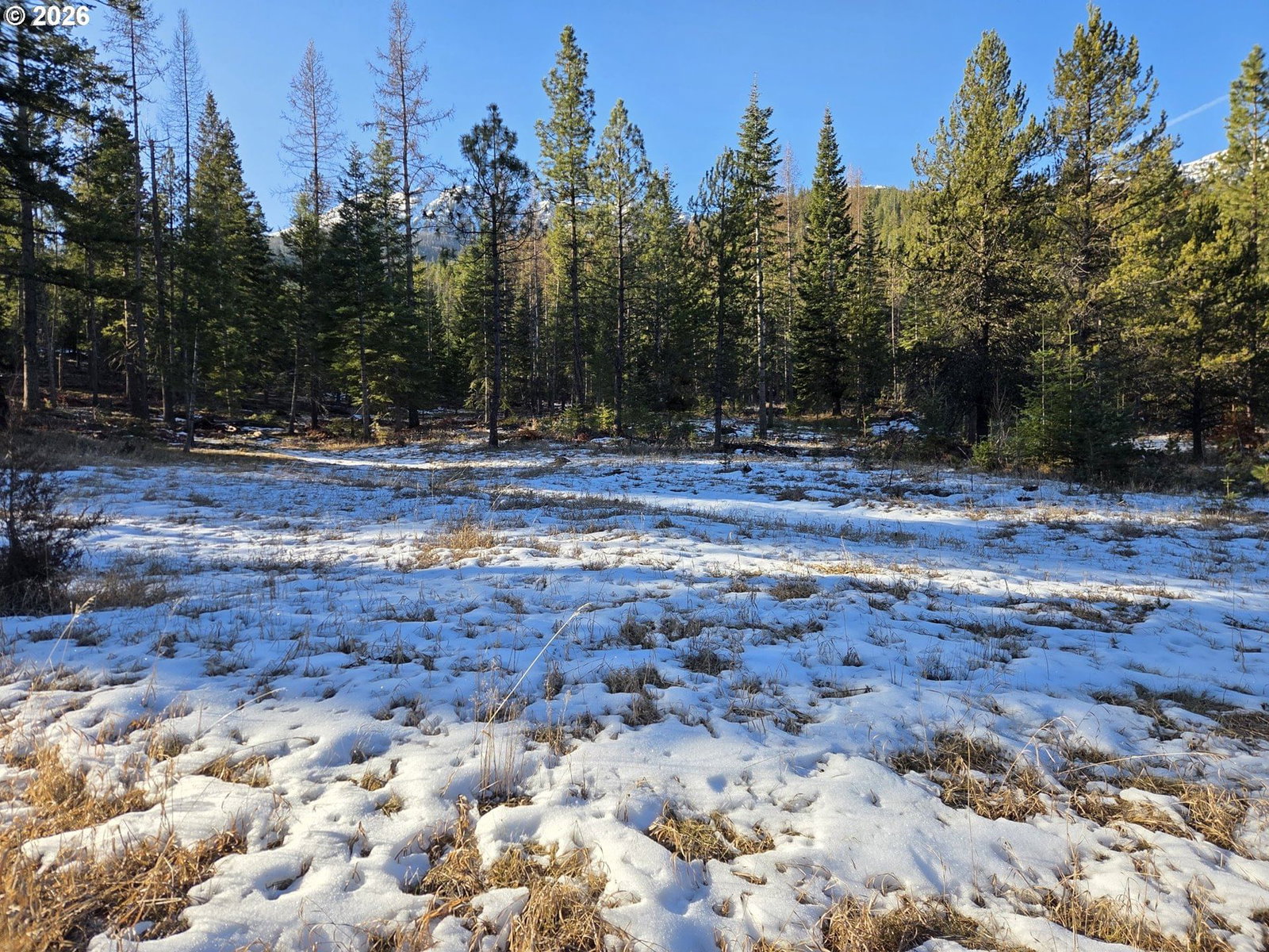 Primary listing photo, 61005 LIME QUARRY RD, Enterprise, OR, 97828