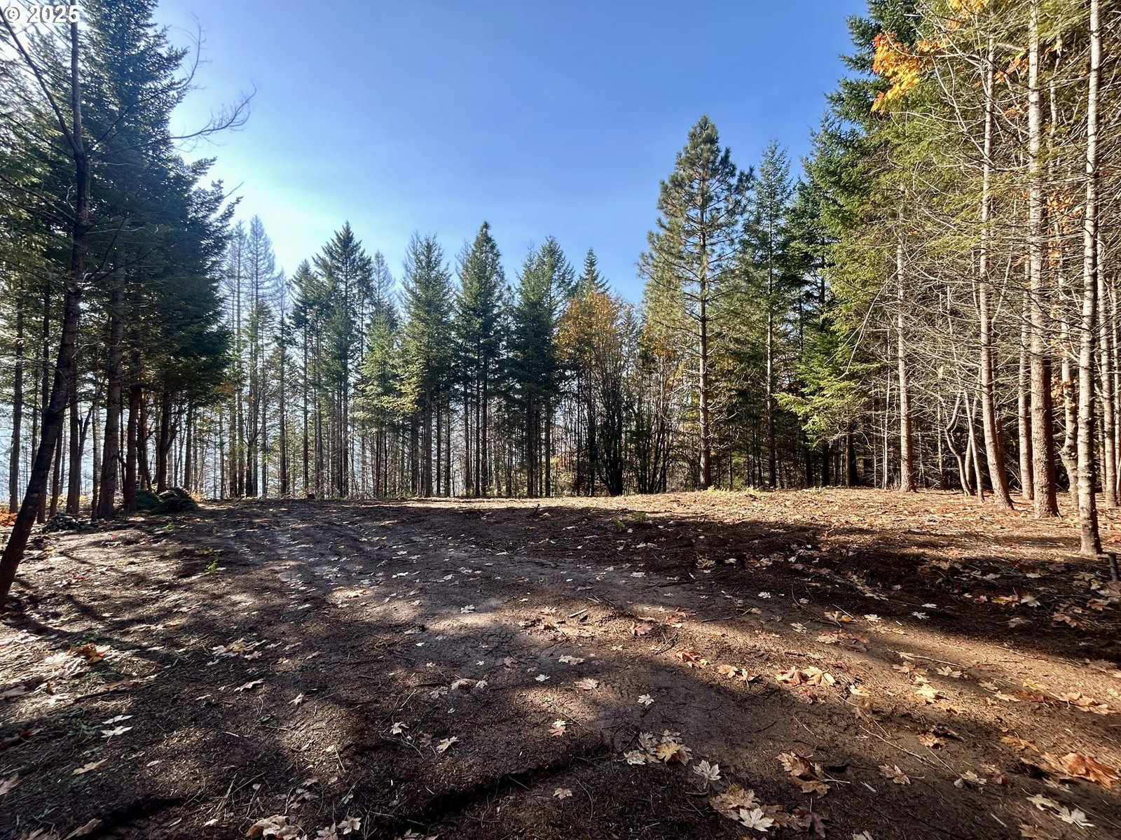 Primary listing photo, 9562 Cook-Underwood RD, Underwood, WA, 98651