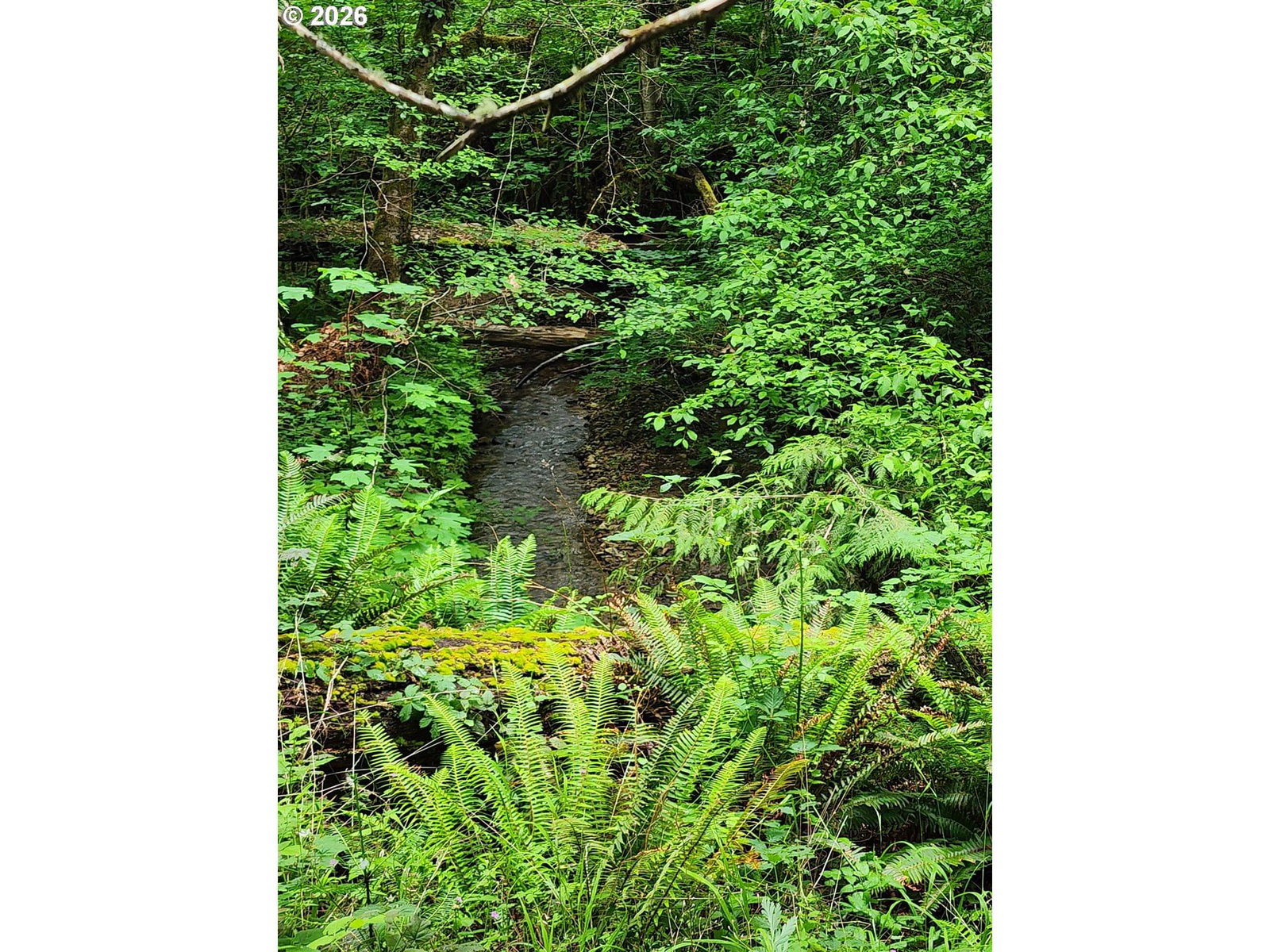 Primary listing photo, 0 LOUIS CREEK RD, Myrtle Creek, OR, 97457