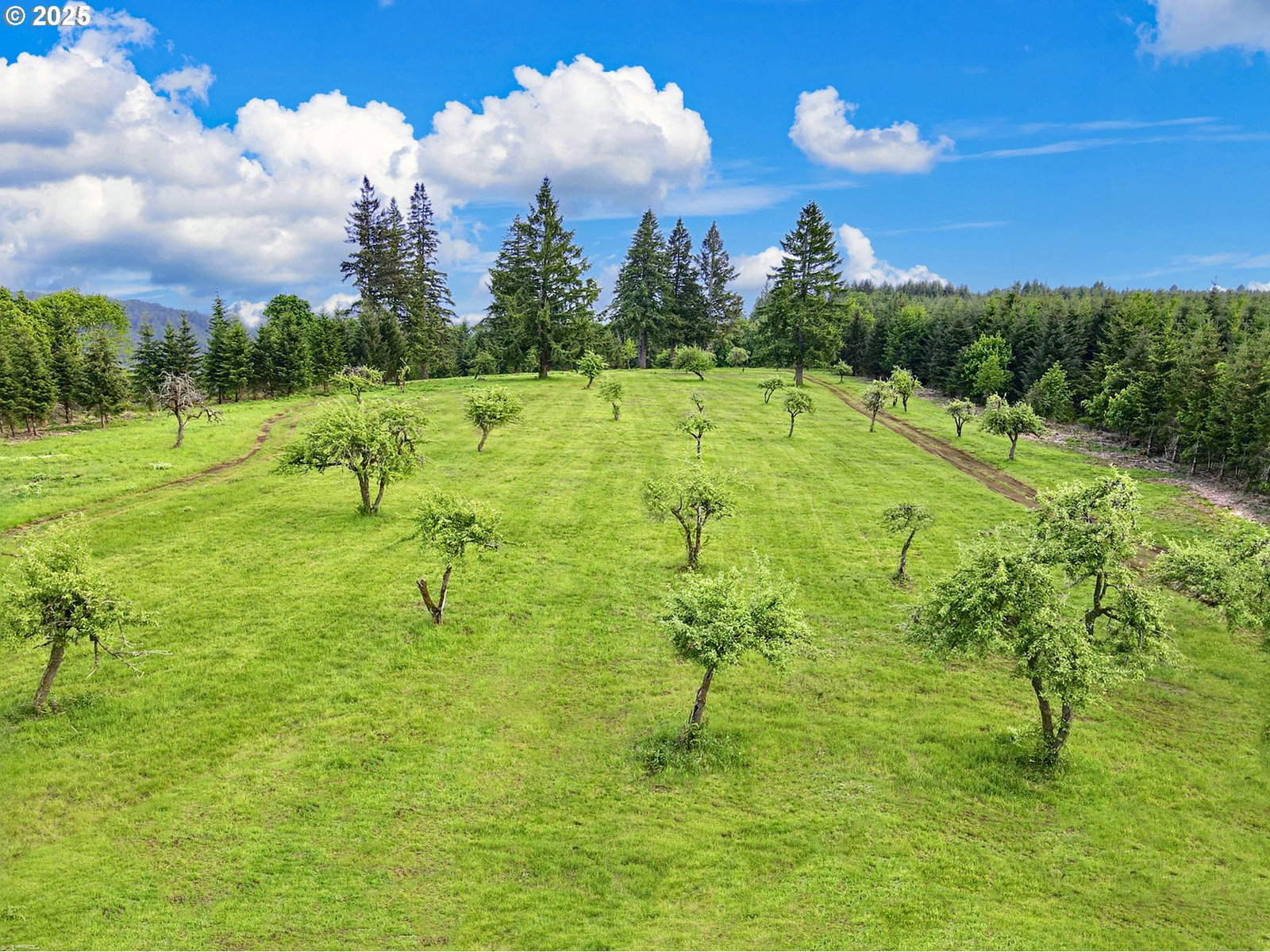 Primary listing photo, 11892 SW Dupee Valley RD, McMinnville, OR, 97128