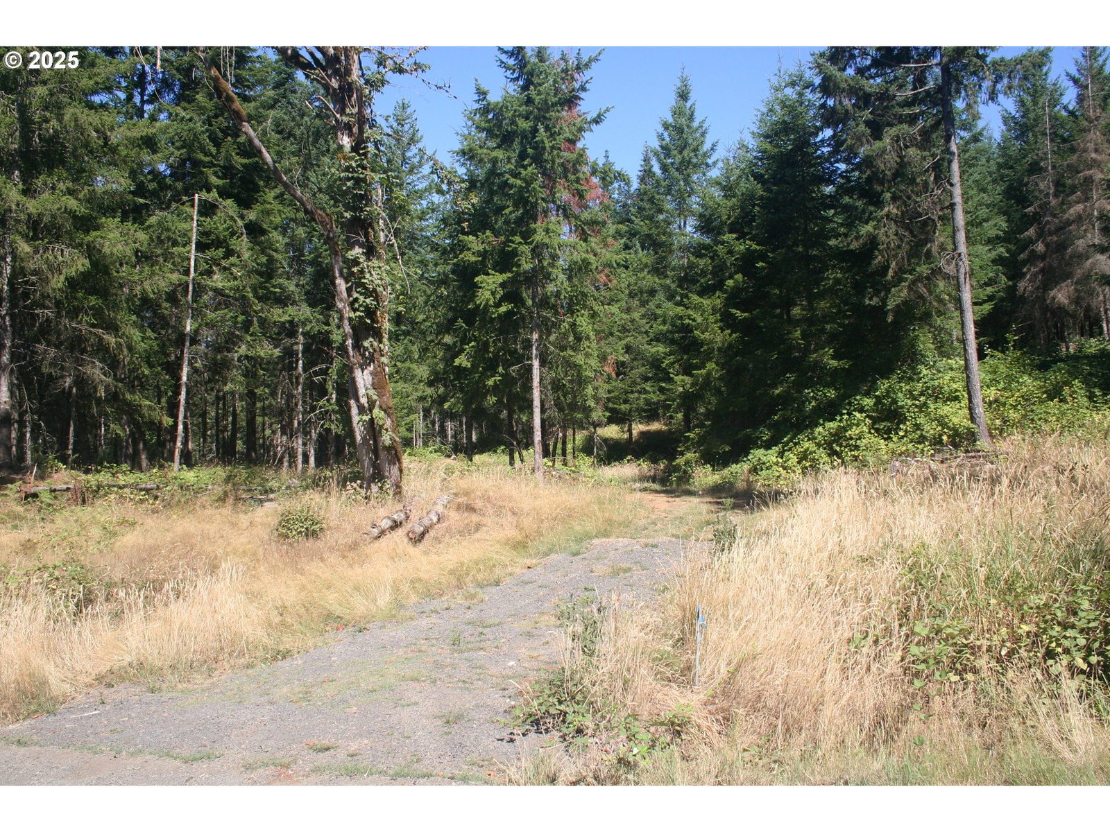 Primary listing photo, 3647 Briar Knob LOOP NE, Scotts Mills, OR, 97375