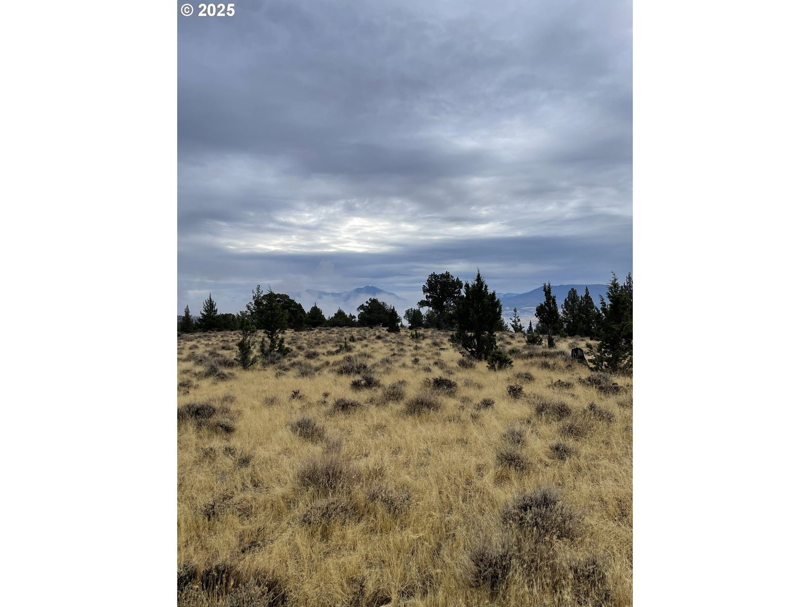 Primary listing photo, 0 Wiley Creek RD, Dayville, OR, 97825