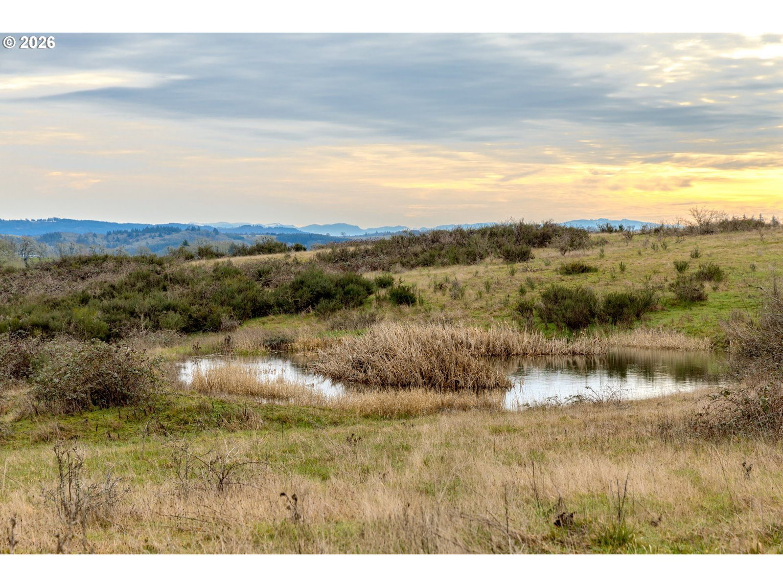 Primary listing photo, 16595 BECK RD, Dallas, OR, 97338