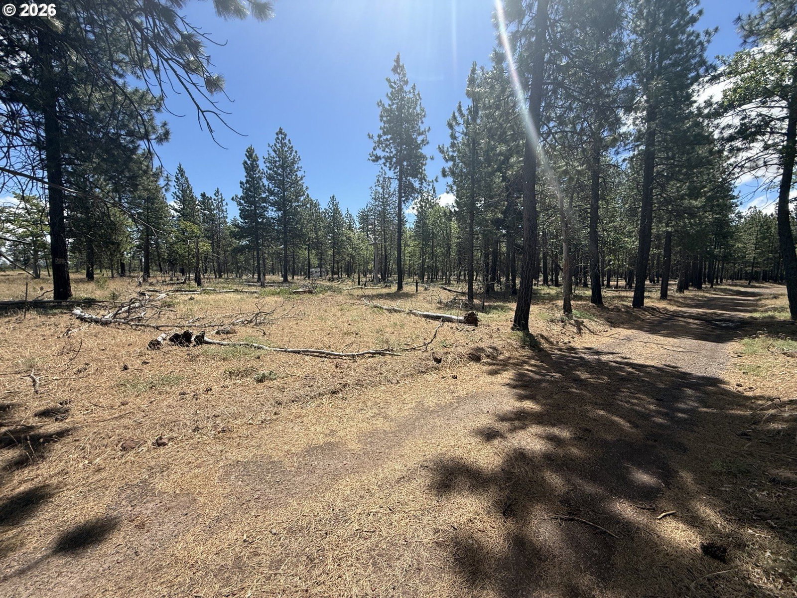 Listing photo 1 of 6