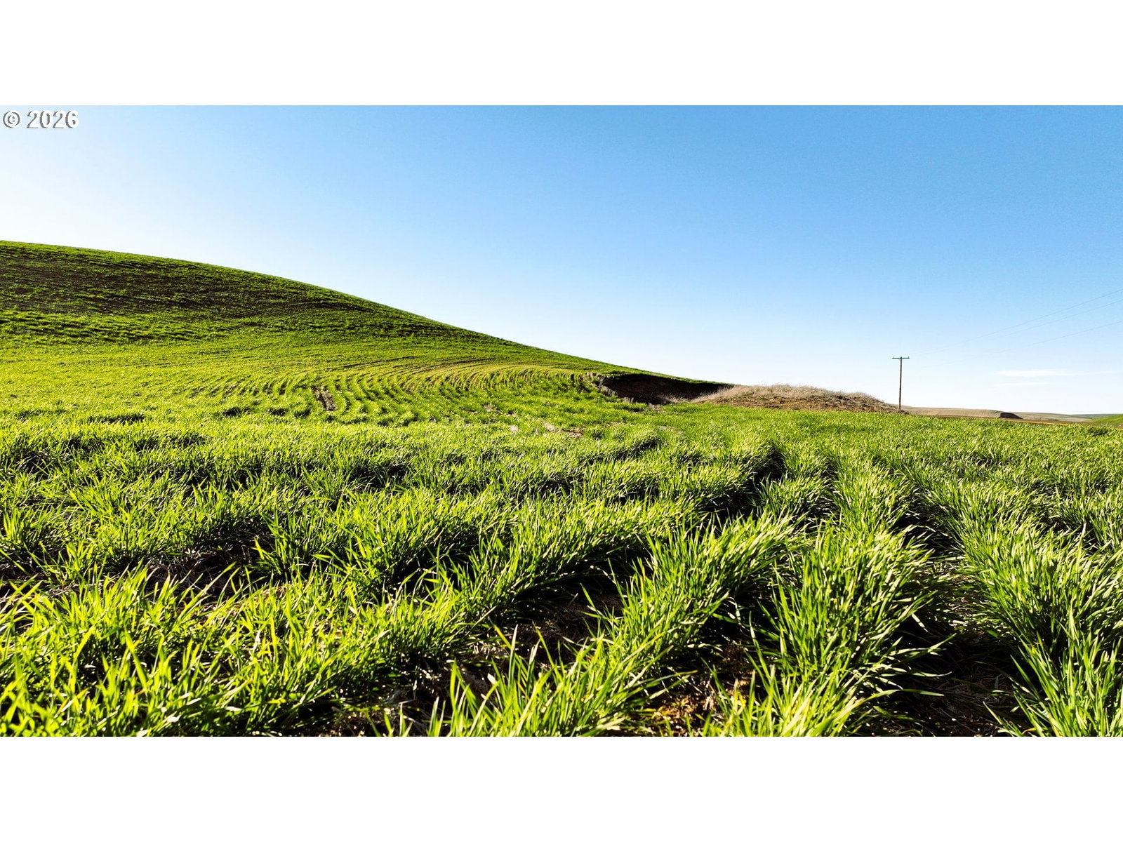 Primary listing photo, South Juniper Canyon, Helix, OR, 97835