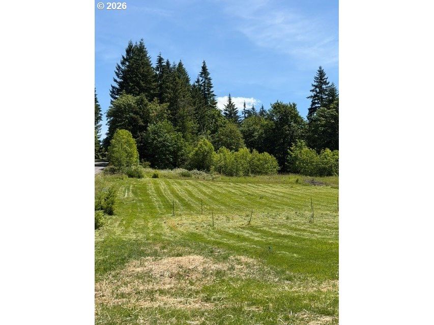 Primary listing photo, 2 NE 144th ST, Brush Prairie, WA, 98606