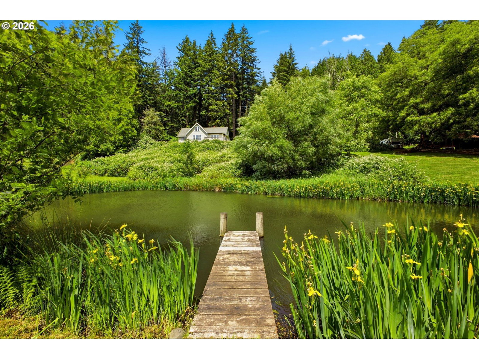 Primary listing photo, 431 SKELTON RD, Stevenson, WA, 98648