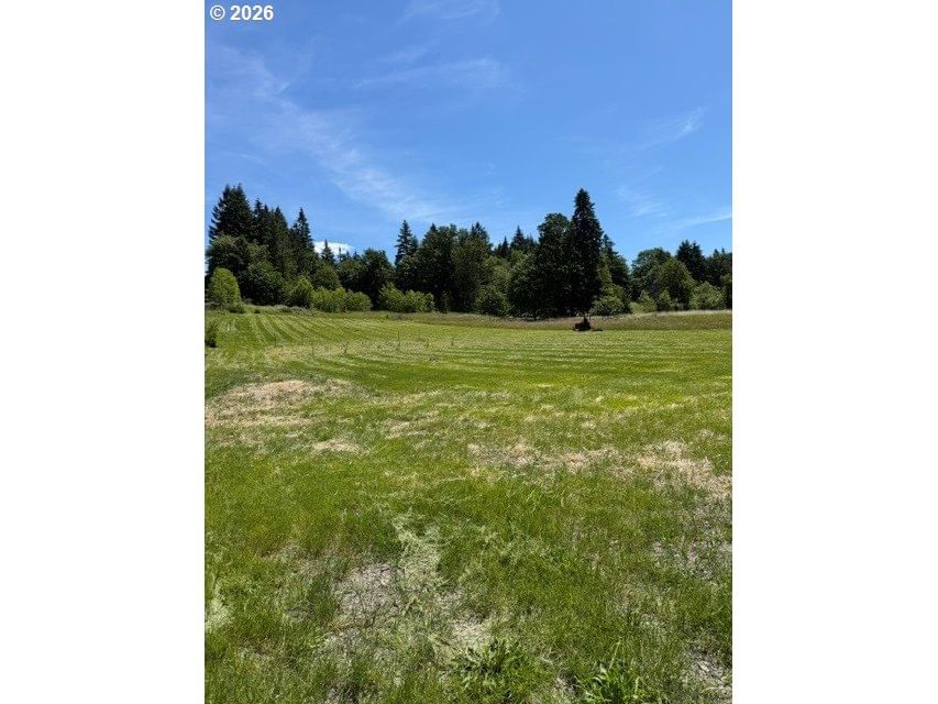 Primary listing photo, 3 NE 144th ST, Brush Prairie, WA, 98606