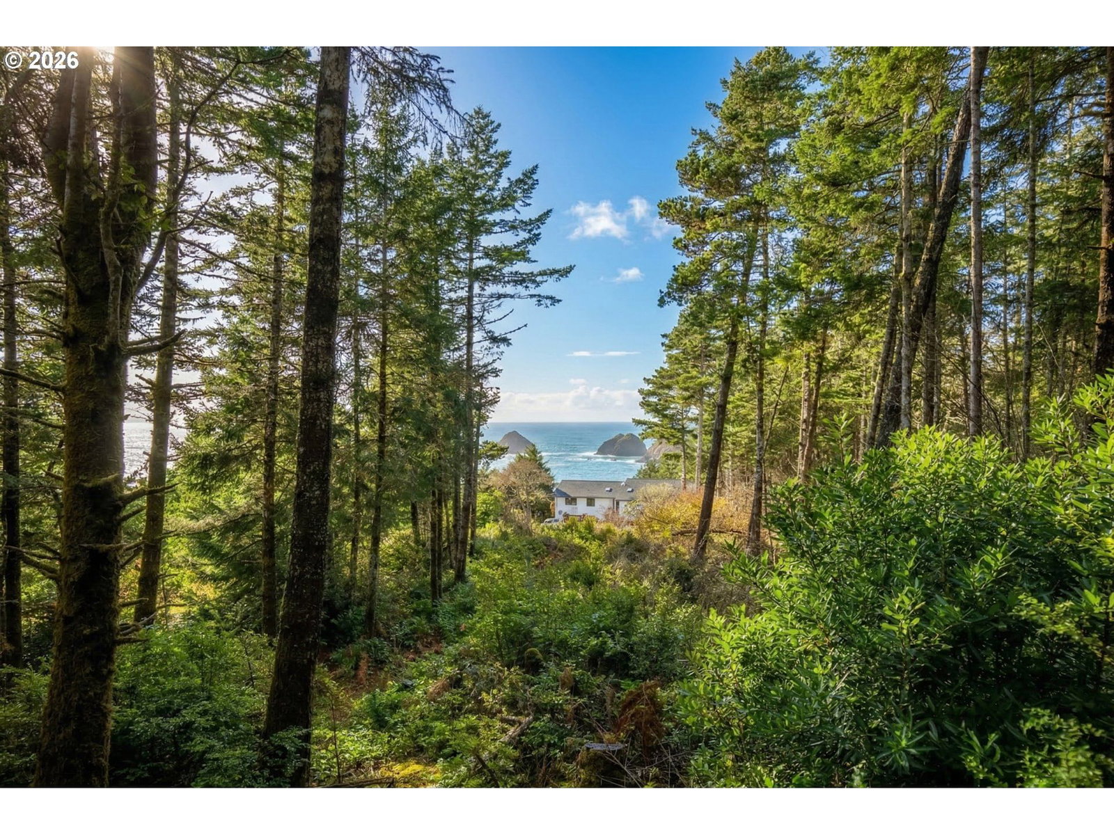 Primary listing photo, Castle DR #TL 105, Oceanside, OR, 97134