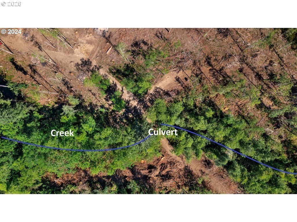 Primary listing photo, NE Berry RD, Battle Ground, WA, 98604