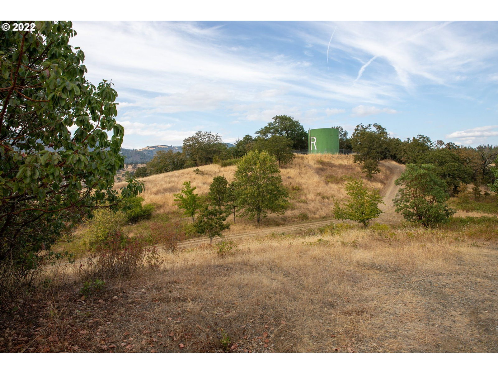 Primary listing photo, 0 SECOND AVE, Riddle, OR, 97469