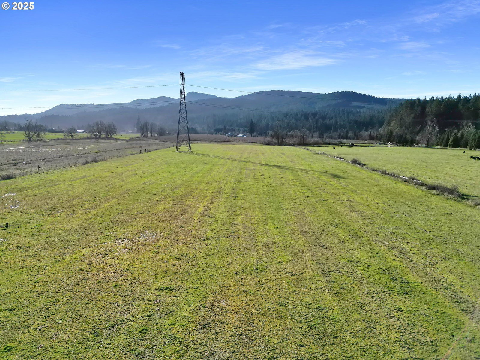 Listing photo 1 of 1