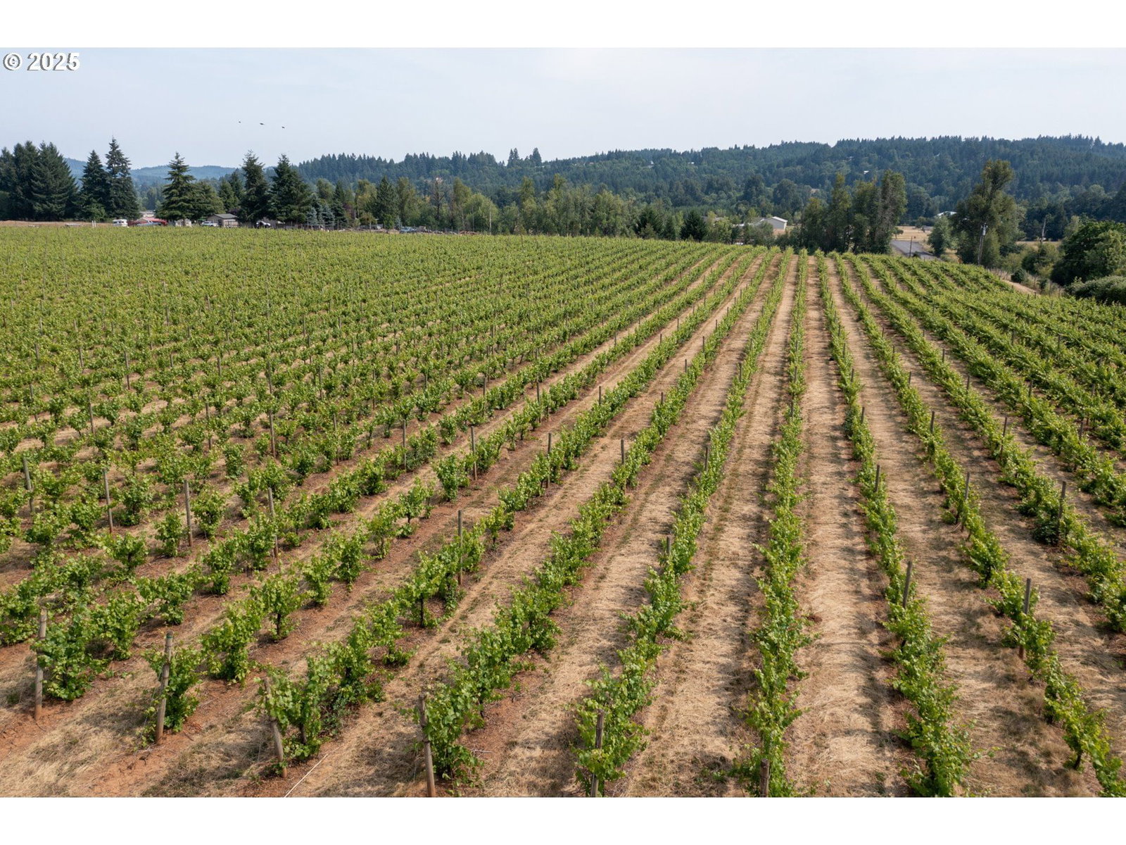 Primary listing photo, 0 Pioneer RD, Dallas, OR, 97338