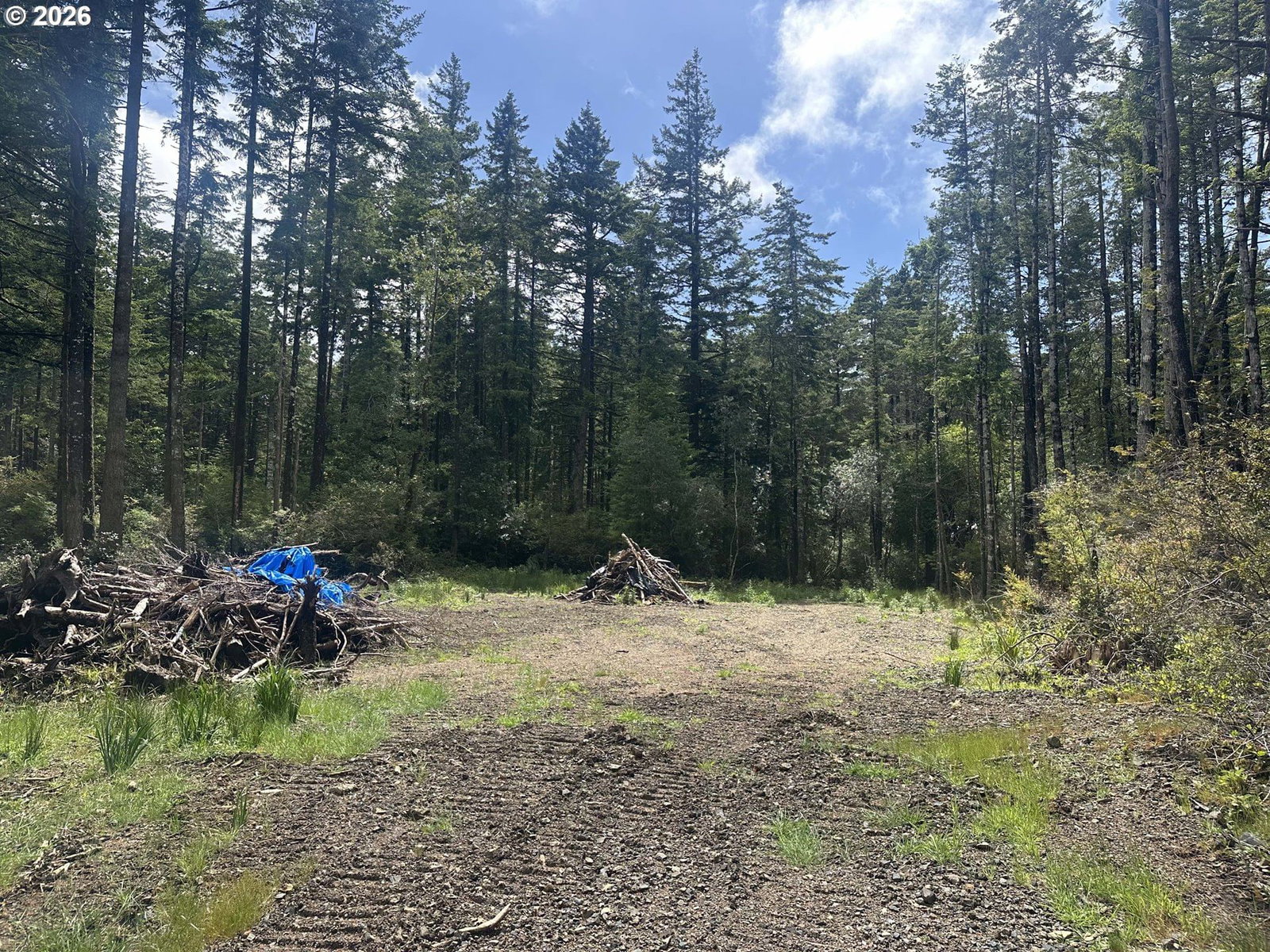 Primary listing photo, Cedar Hollow RD, Port Orford, OR, 97465