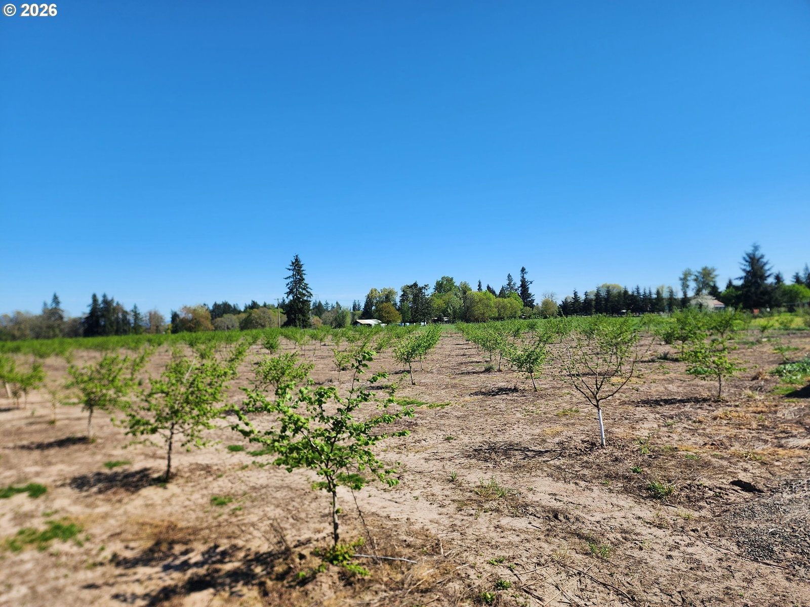 Primary listing photo, 36501 GILKEY RD, Scio, OR, 97374