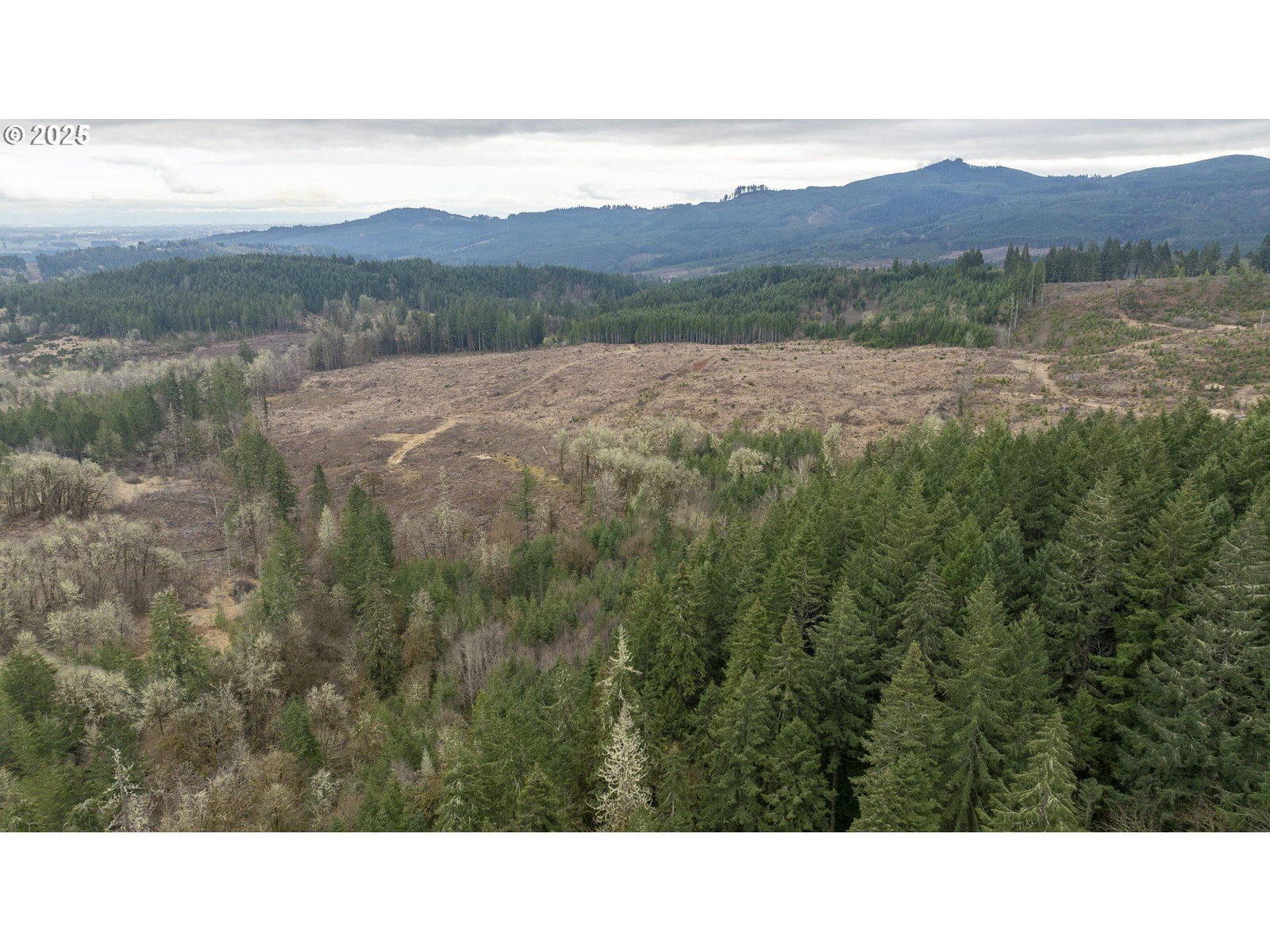 Primary listing photo, 0 Panther Creek RD, Carlton, OR, 97111