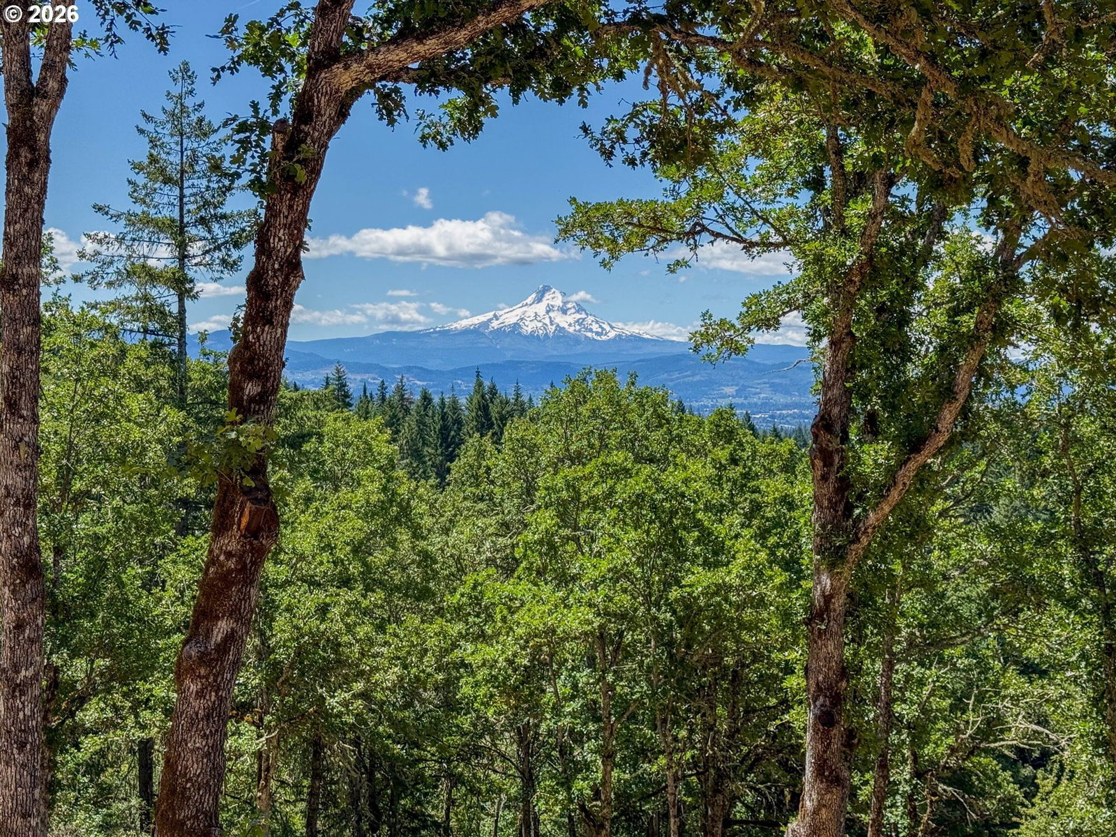 Primary listing photo, 34 JEWETT CREEK LP RD, White Salmon, WA, 98672