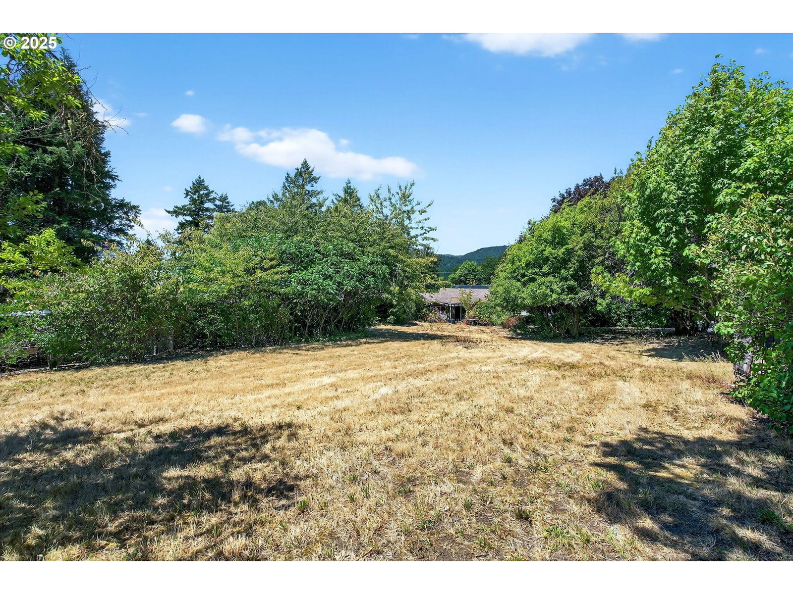 Primary listing photo, 919 LAKESIDE WAY, North Bonneville, WA, 98639
