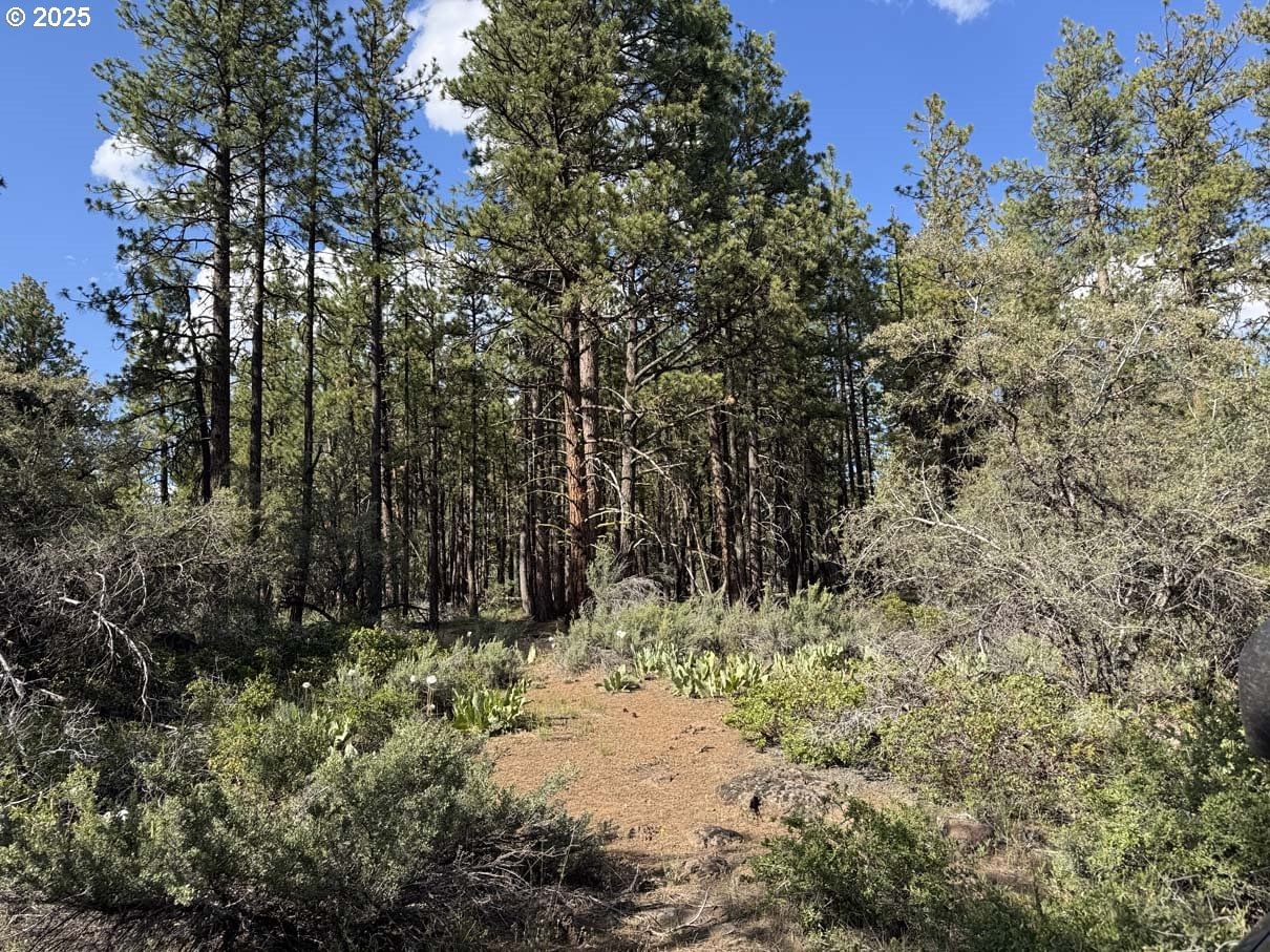 Primary listing photo, Thunder Bear Road #46, Bonanza, OR, 97623